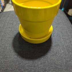 Yellow Ceramic Flower Pots