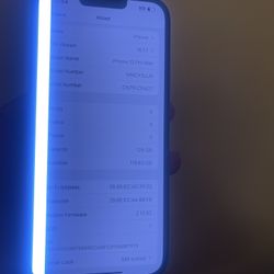 Iphone 13 Pro Max AT&T Cricket Only .Bad lcd one Camera Lens Glasses Crack