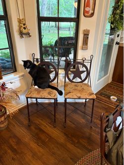 Dining or Accent Chairs