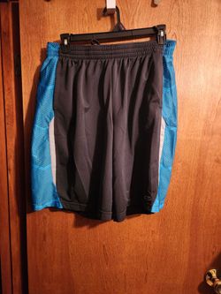 Champion Athletic Shorts Gray and Blue