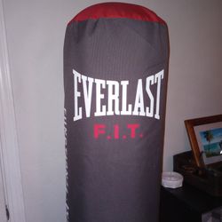 Training Punching Bag