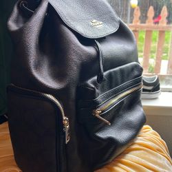 Large Coach Diaper Bag 