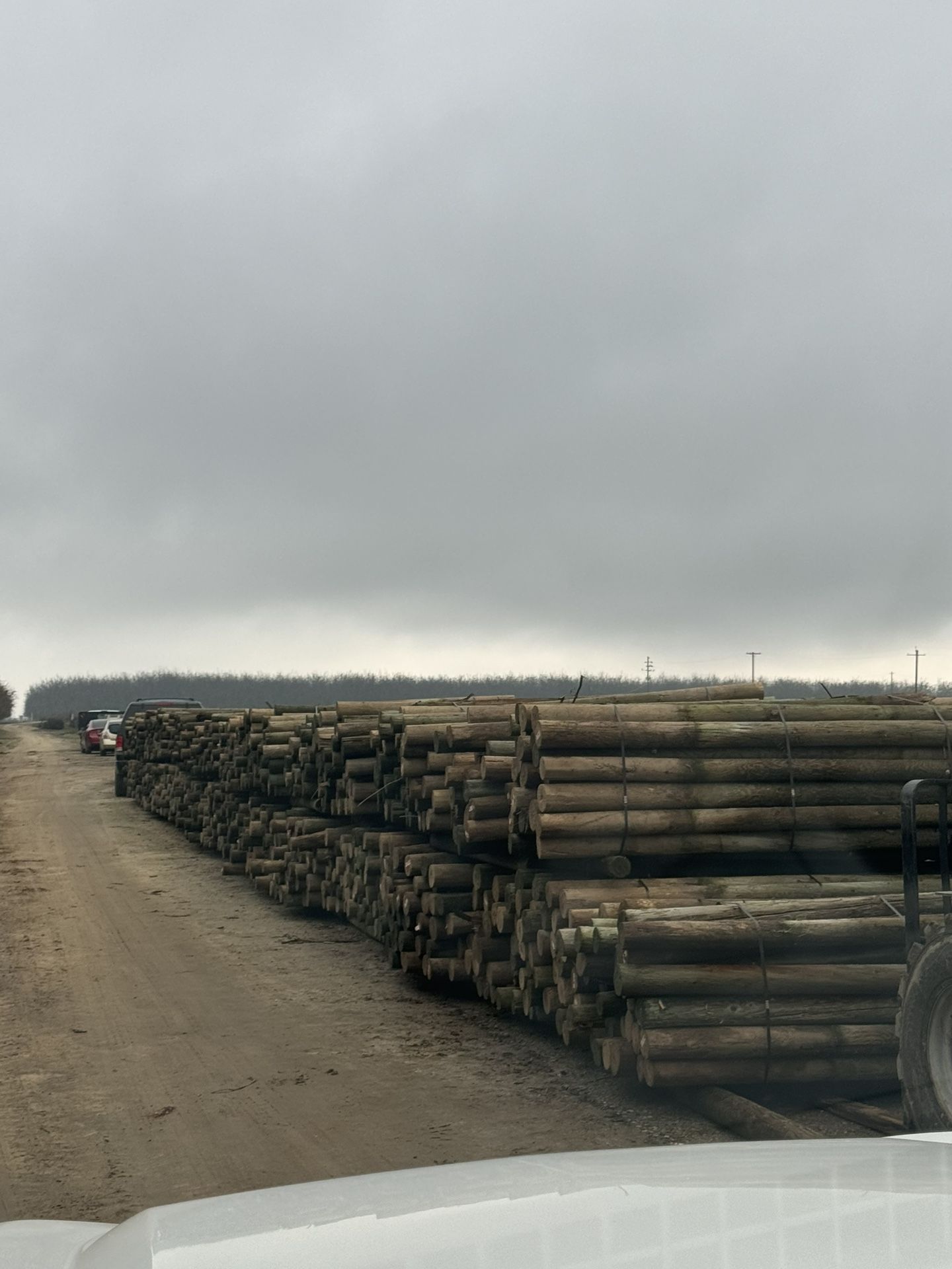 Treated Wood Posts