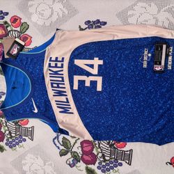 Milwaukee Bucks Antetokounmpo jersey