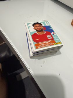 Panini stickers trade