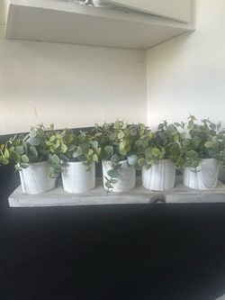5 planter artificial