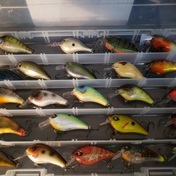 23 New Crankbait Lures!