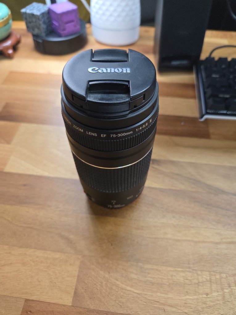Canon Ef 75-300 Zoom Lens