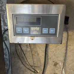 Weight Scale 