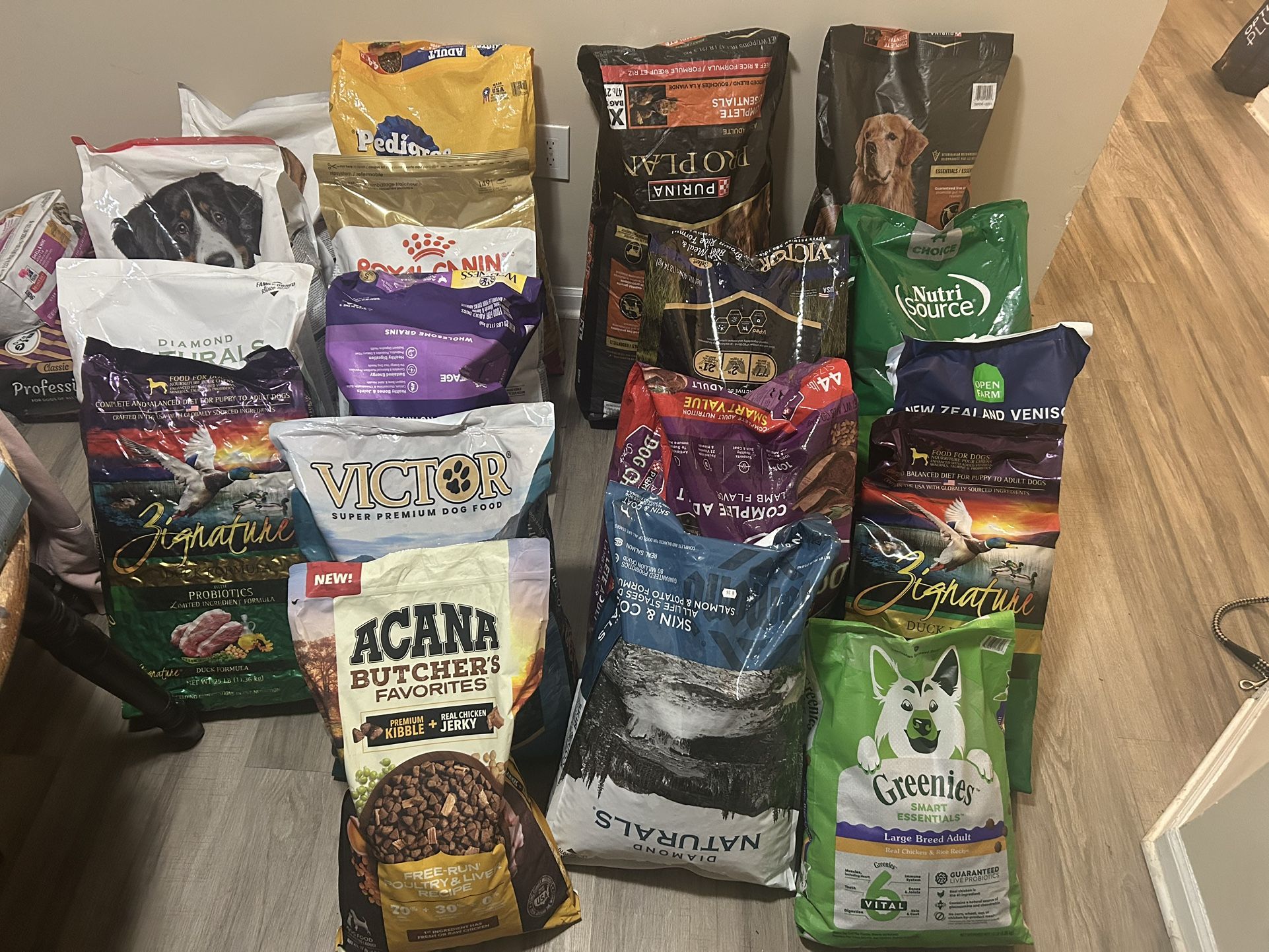 Dog Food
