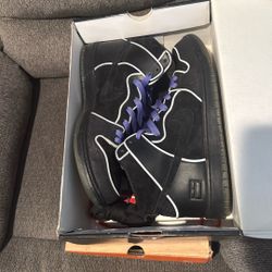 Nike Sb Dunk High Top Purple Box Size 11