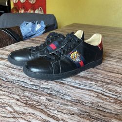 Gucci Ace Shoes 