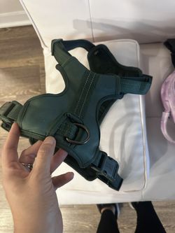 Dog Harness