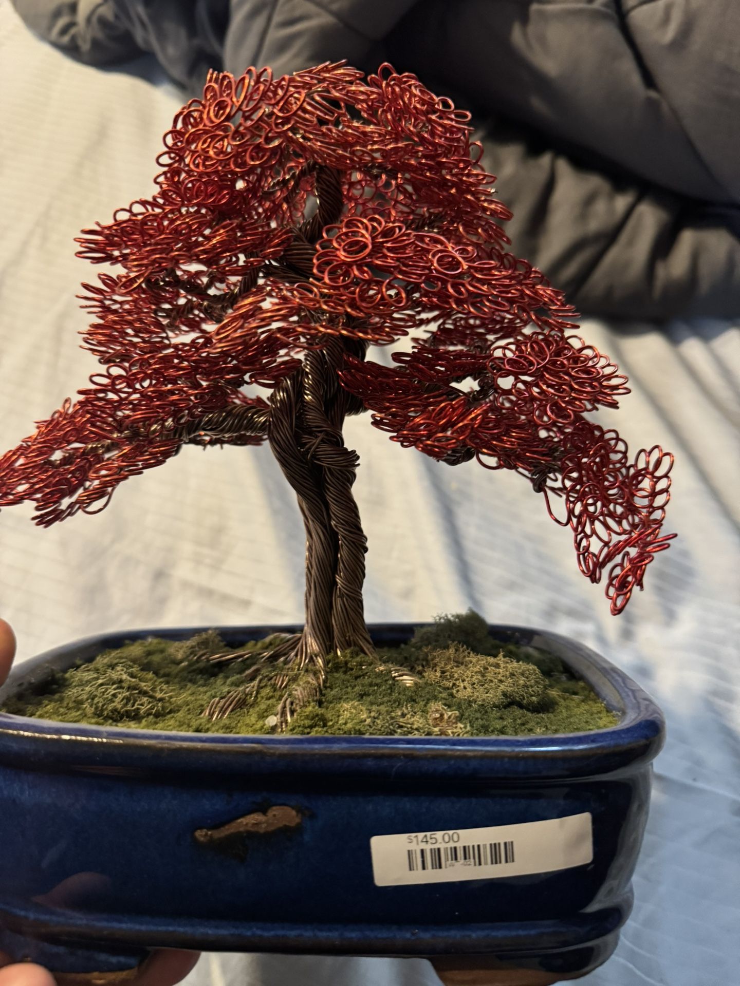 Stones And Bonsai