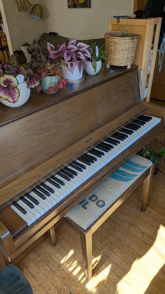 Free Piano (You Pay Removal Costs)