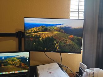 Dell 24 Monitor (2 monitors)