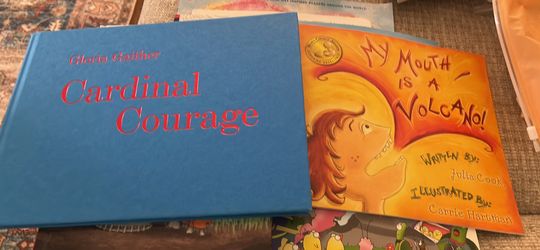 kids Books Pair Of Two