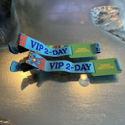 Beyond Wonderland 2-Day VIP Wristbands (2)