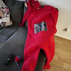 Teletubbie Costume (adult) 