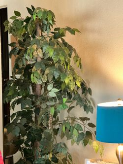 Large Indoor Ficus Tree Faux