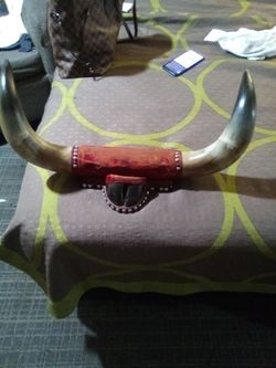 Real bull horns for sale