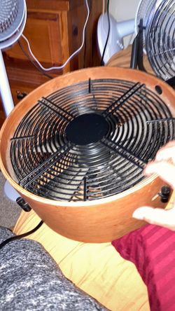 Fan