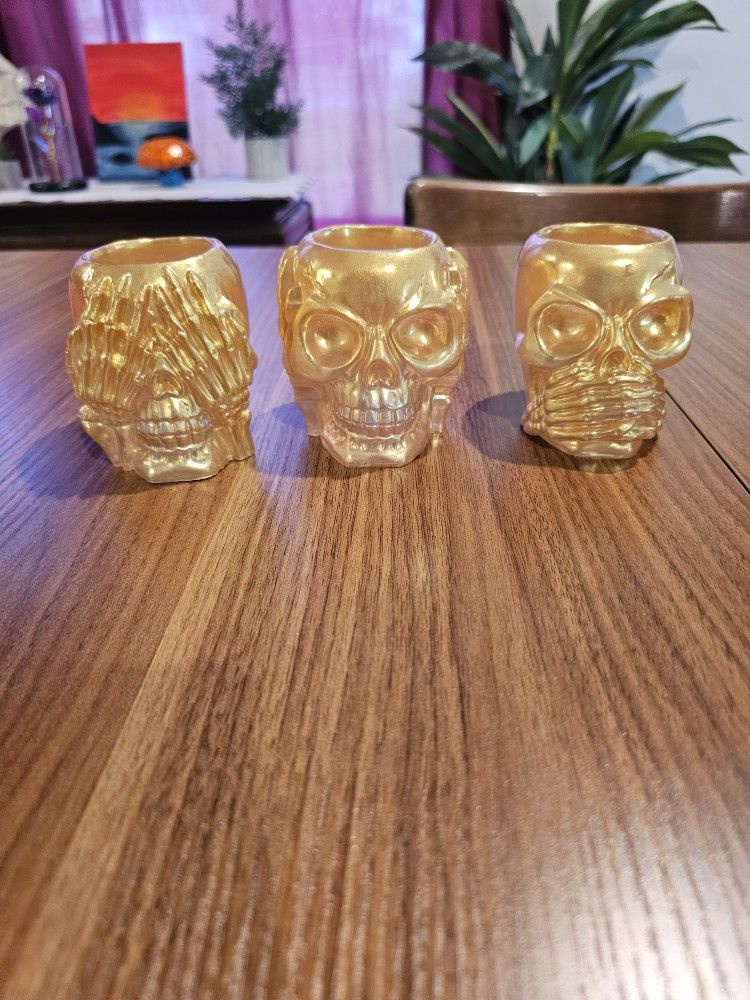 Set Of 3 Skulls