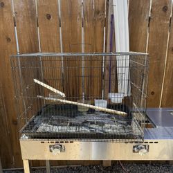 Bird Cage 