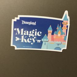 Disneyland Magnet