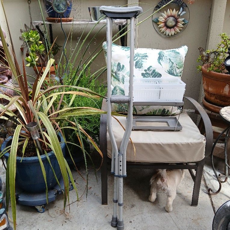 Crutches - New