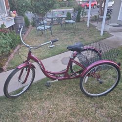Meridian Adult Tricycle 
