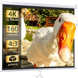 Projector screen/ pantalla para projector