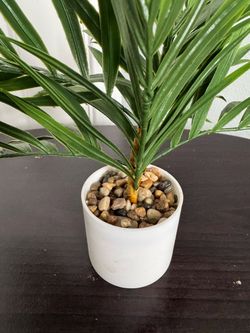 Fake mini desk plant