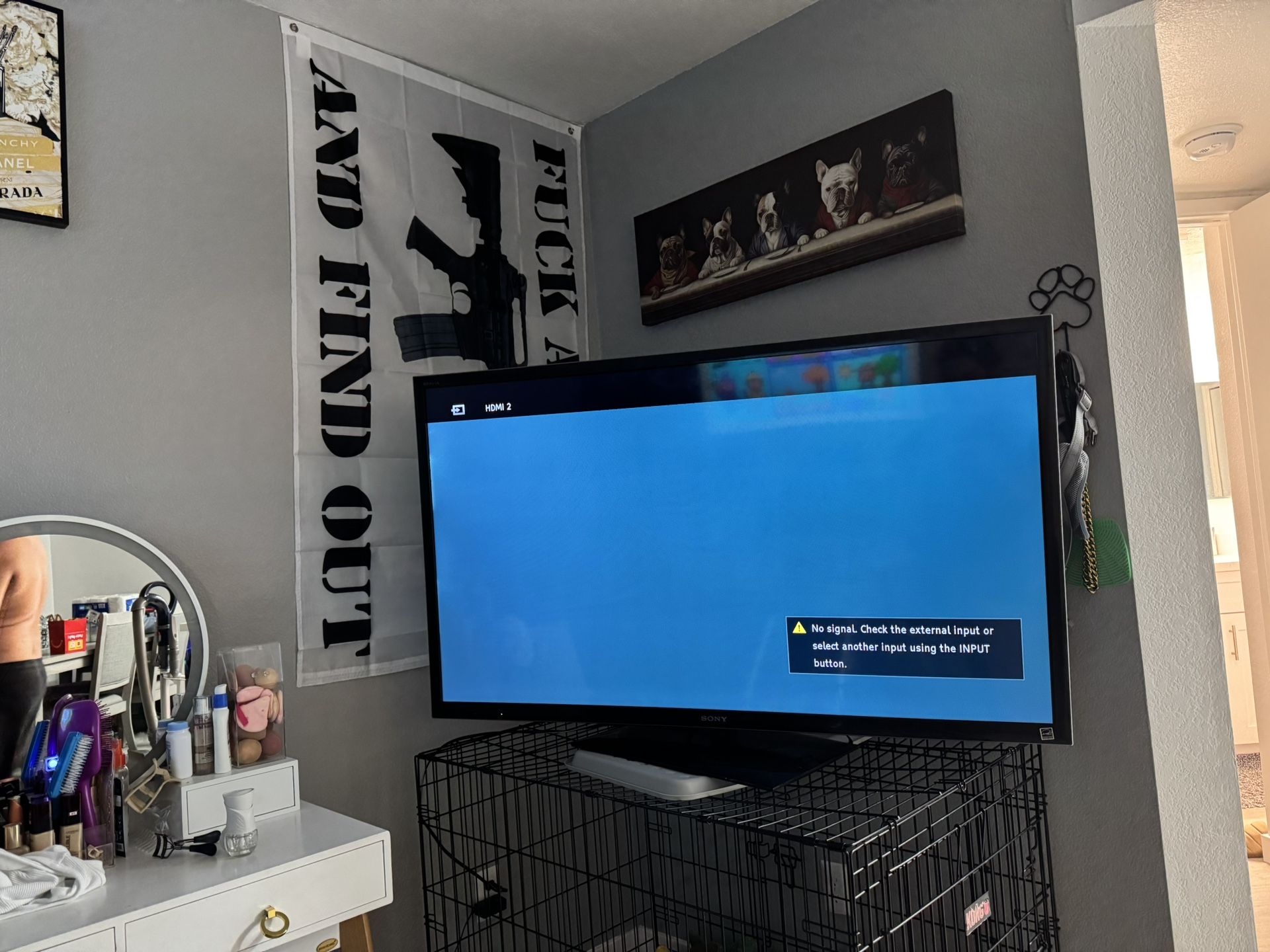 Sony 55inch