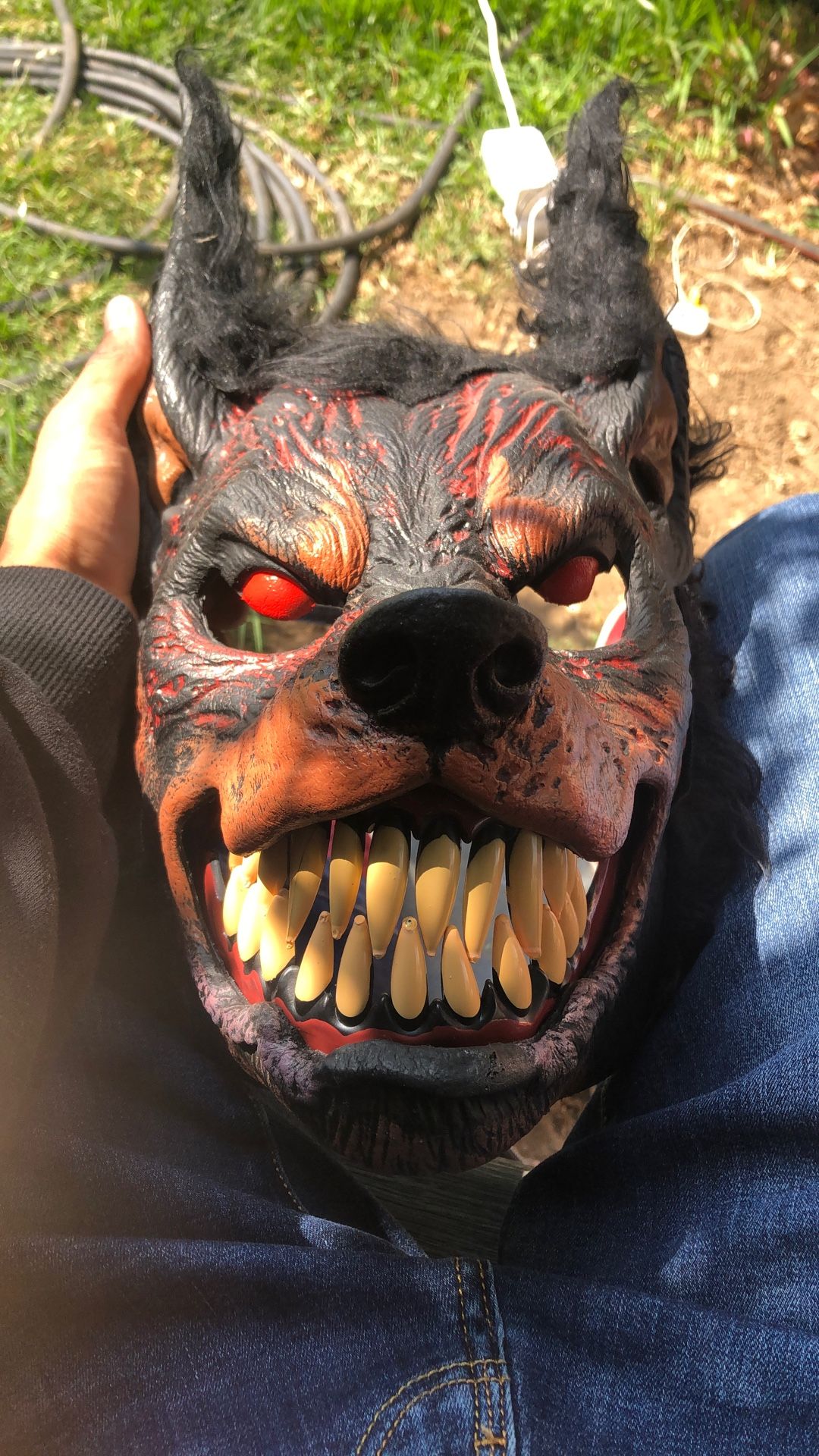 dog mask
