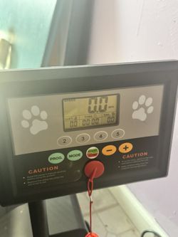 Dog Treadmill
