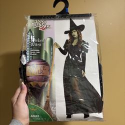 XL Wicked Witch Costume