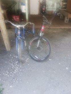 Bike Dos Por 100