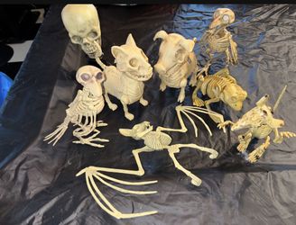 Halloween animal skeletons Pig squeals and Cat meows as eyes light up $25 for all