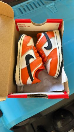 Toddler Nike Dunk Low