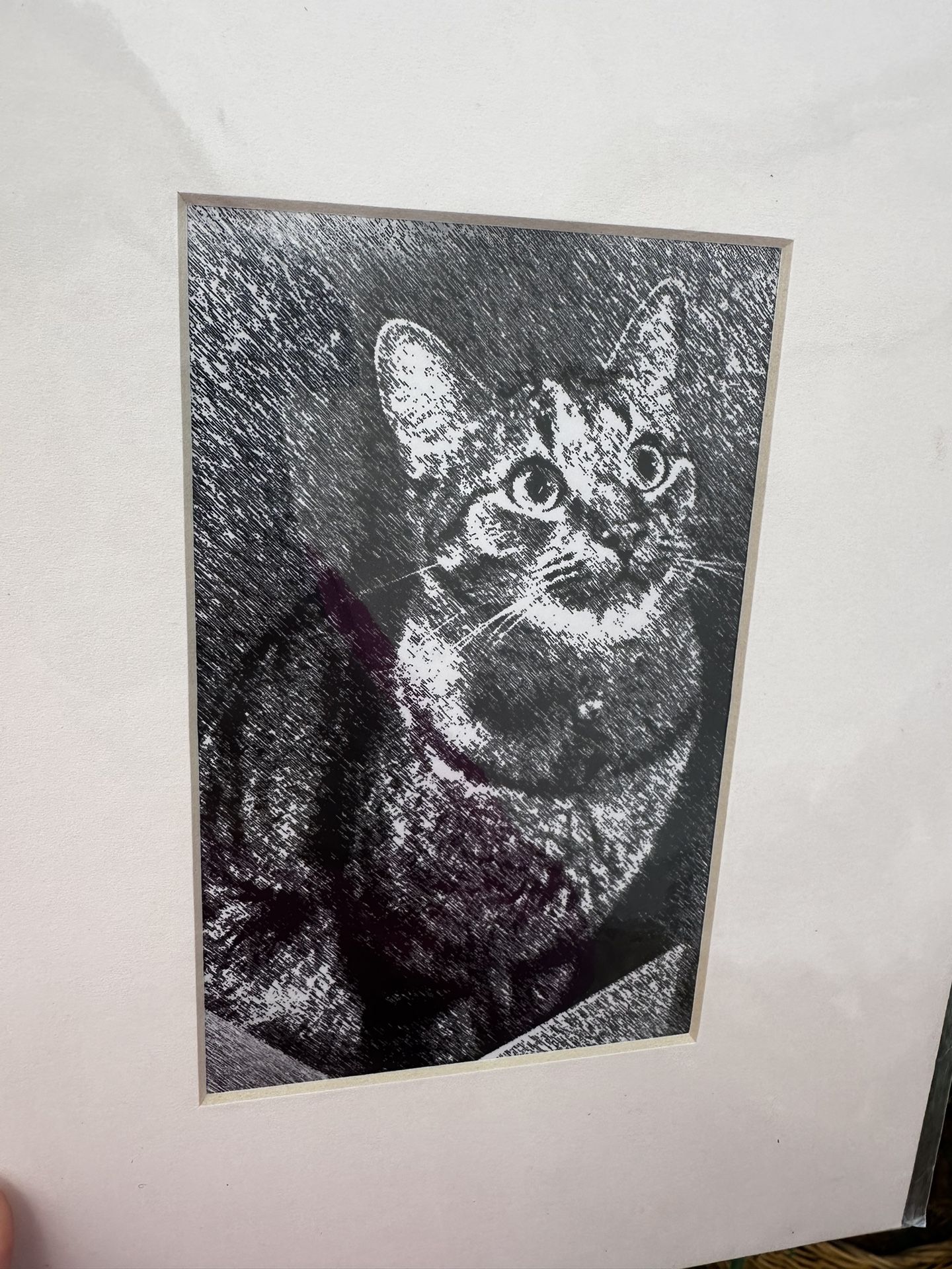 MAUREEN FARLEY WALL ART CAT ART DECOR