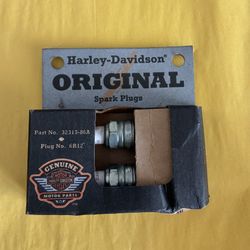 Harley Davidson spark plugs