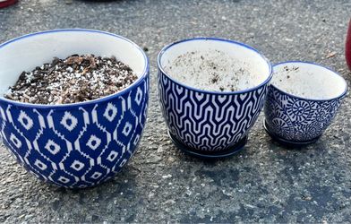Various flower pots ceramic