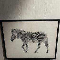 Zebra Canvas $5