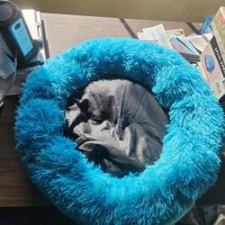 Pet Bed
