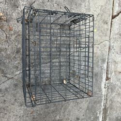 Dog Crate