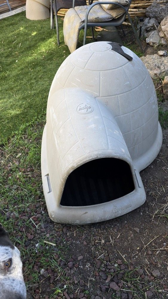 Igloo Dog House