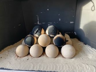 Fireplace concrete balls