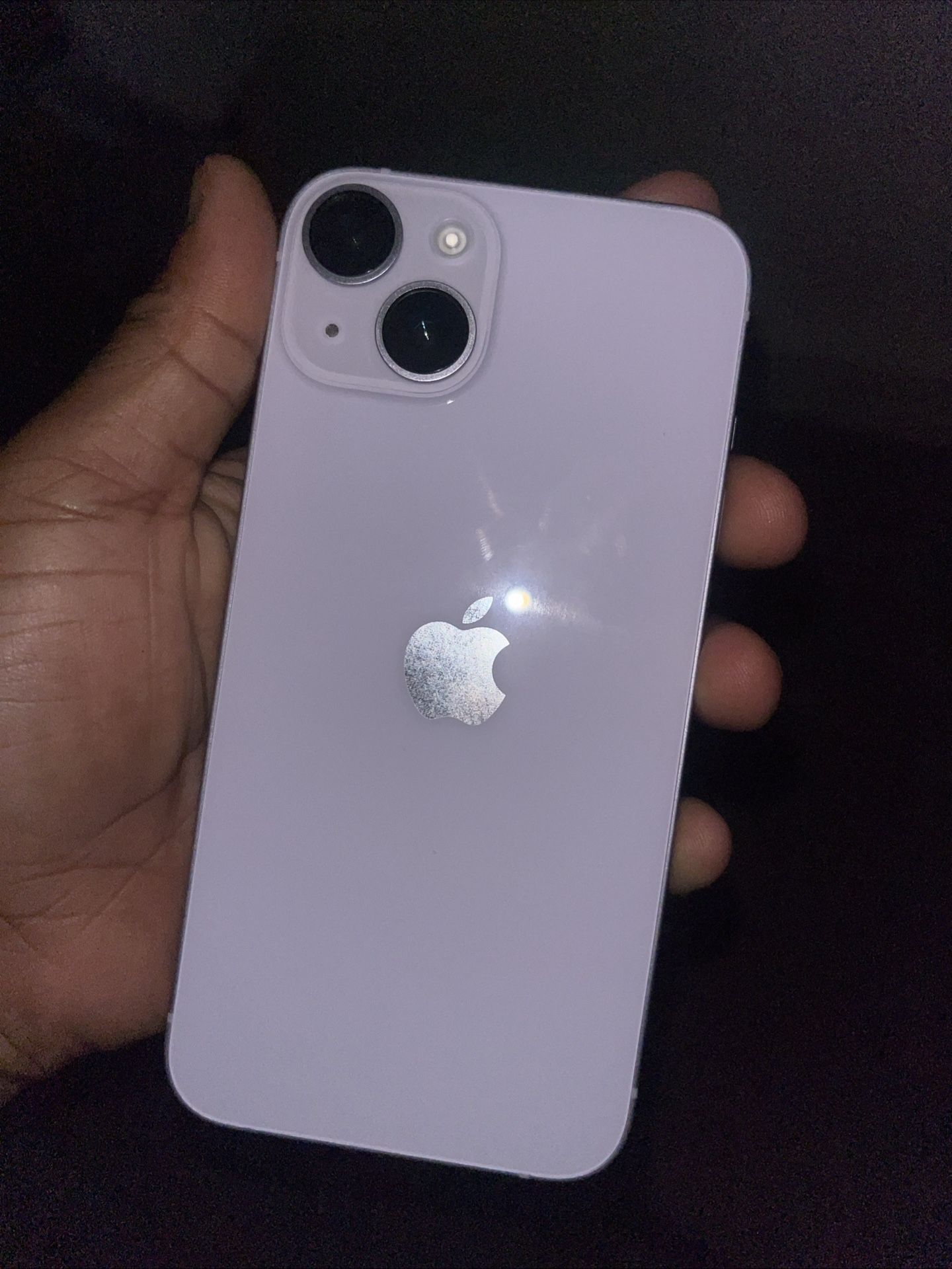 The iPhone 14
