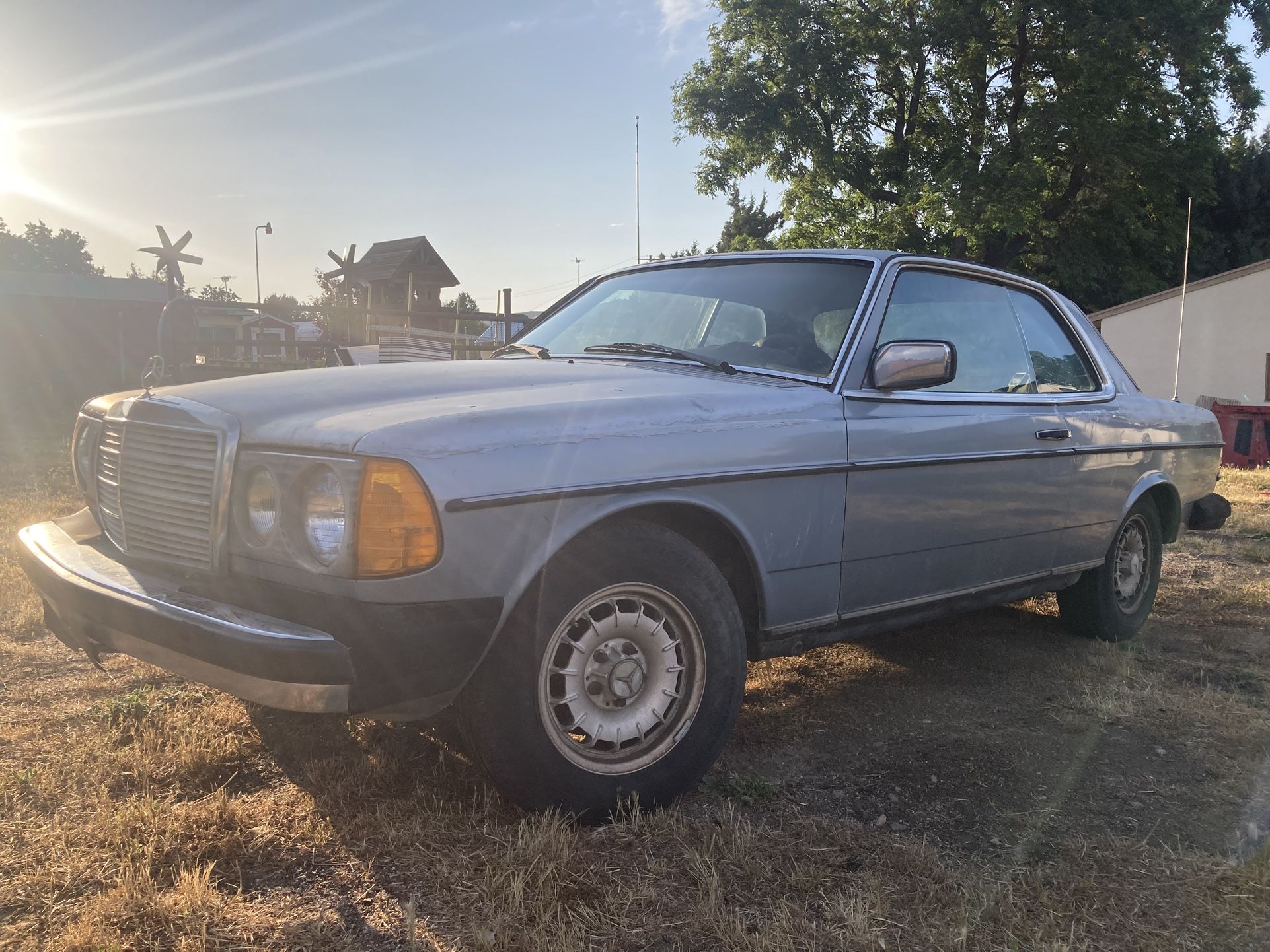 1980 Mercedes-Benz W 123 Coupe